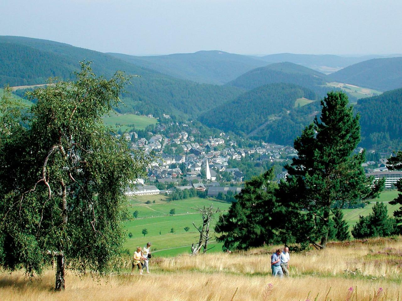 Komfort-Fewo Ettelsberg-Panorama Willingen  Pokoj fotografie