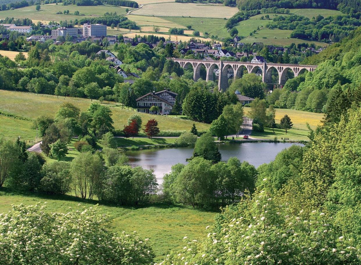 Komfort-Fewo Ettelsberg-Panorama Willingen  Pokoj fotografie