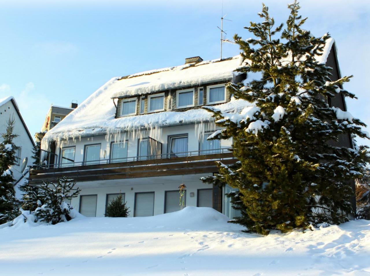 Komfort-Fewo Ettelsberg-Panorama Willingen  Pokoj fotografie