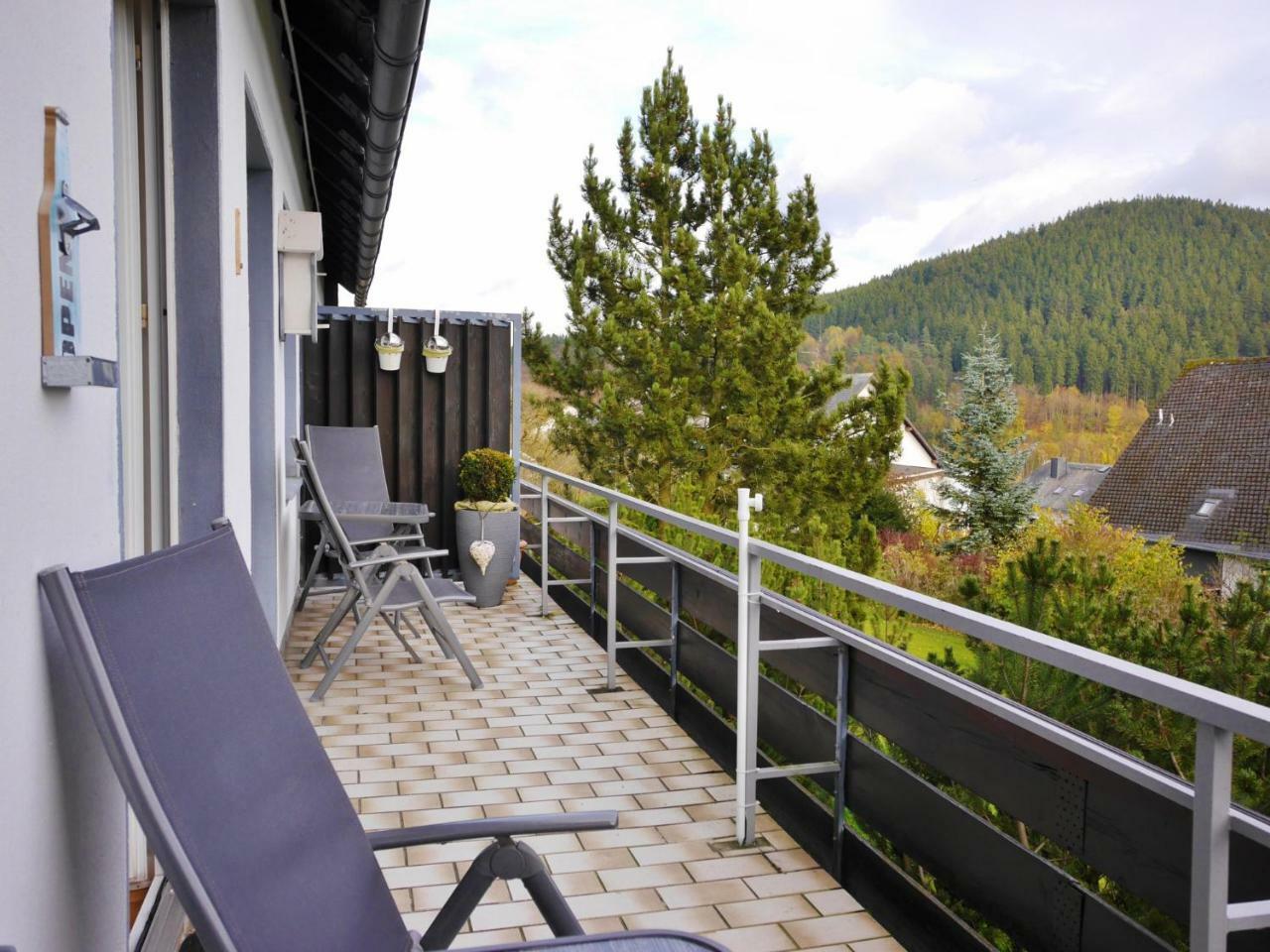 Komfort-Fewo Ettelsberg-Panorama Willingen  Pokoj fotografie